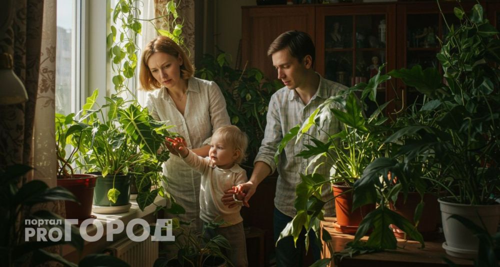 Осторожно, комнатные цветы: какие растения могут быть опасны для здоровья Осторожно, комнатные цветы: какие растения могут быть опасны для здоровья