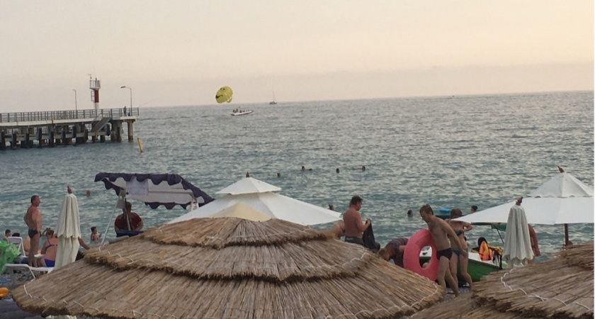 Море зелени: почему Чёрное море в мае покрылось водорослями Море зелени: почему Чёрное море в мае покрылось водорослями