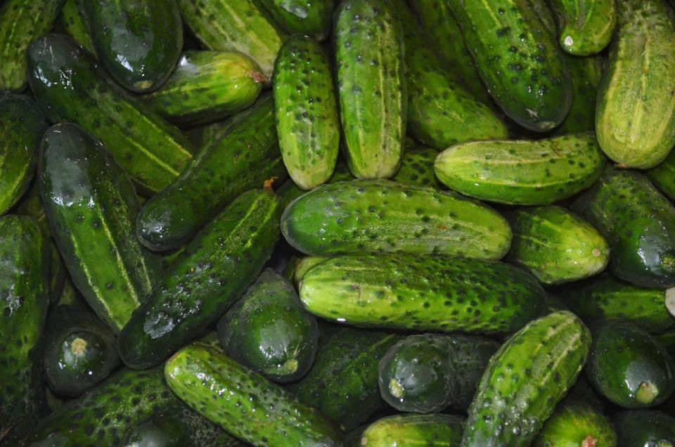 Салат, который покорит всех: быстро, вкусно и сытно Салат, который покорит всех: быстро, вкусно и сытно