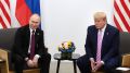 Трамп поддерживает Путина: как это отразится на переговорах с Украиной?