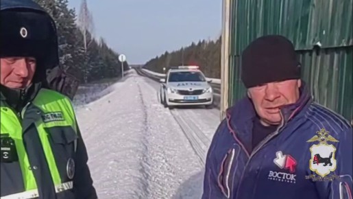 Водитель большегруза выразил благодарность инспекторам ДПС за помощь на дороге